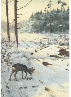 Roger Mcphail - Winter Morning