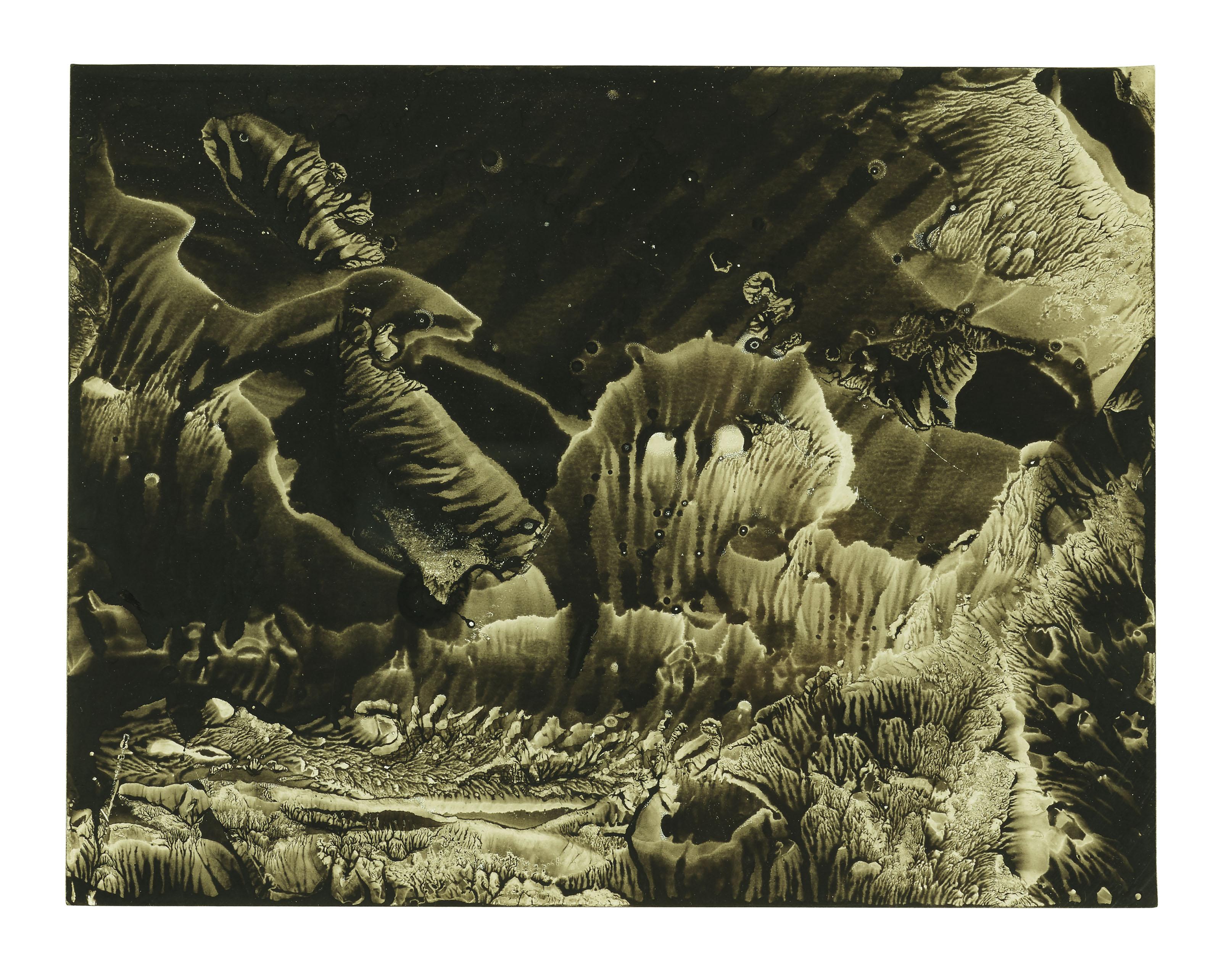 Roland Flexner - SN23