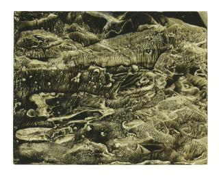 Roland Flexner - SN24