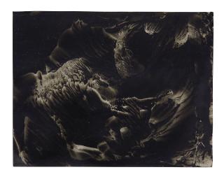 Roland Flexner - SN41