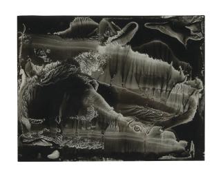 Roland Flexner - SN42