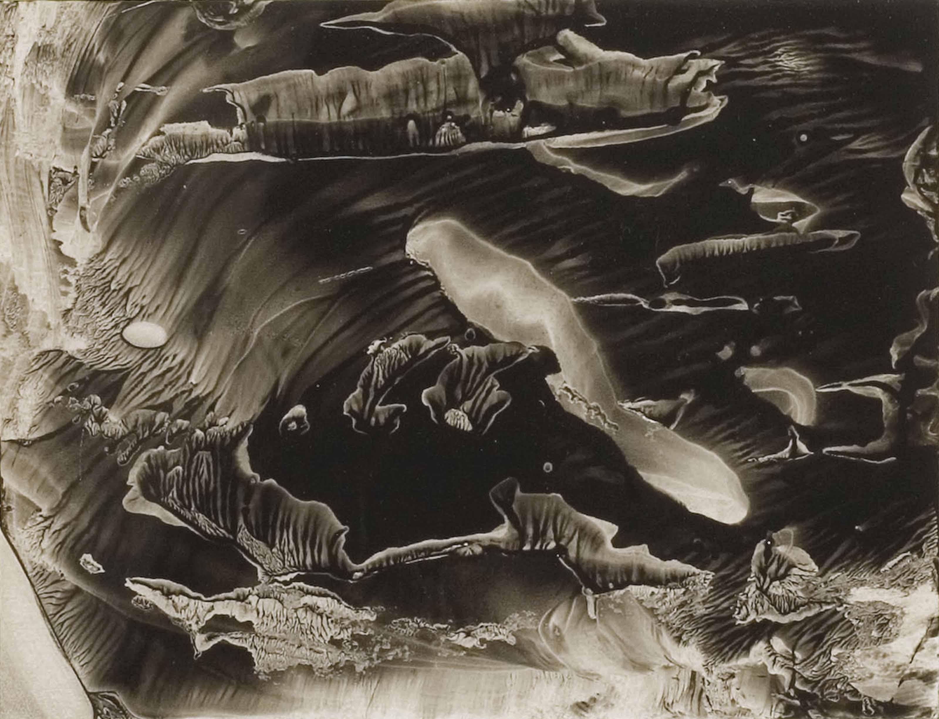 Roland Flexner - SN45