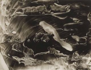 Roland Flexner - SN45