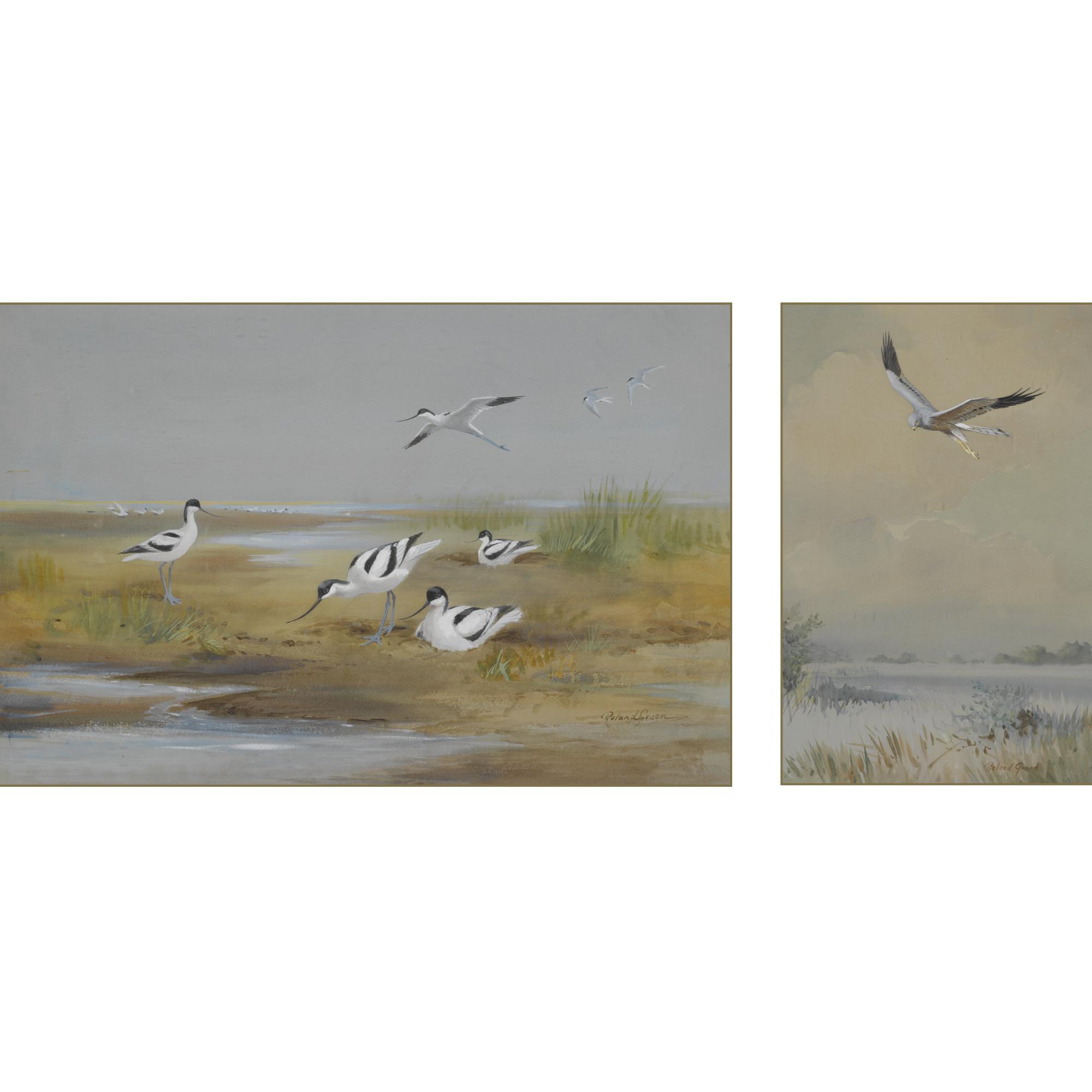 Roland Green - An Osprey; And Avocets