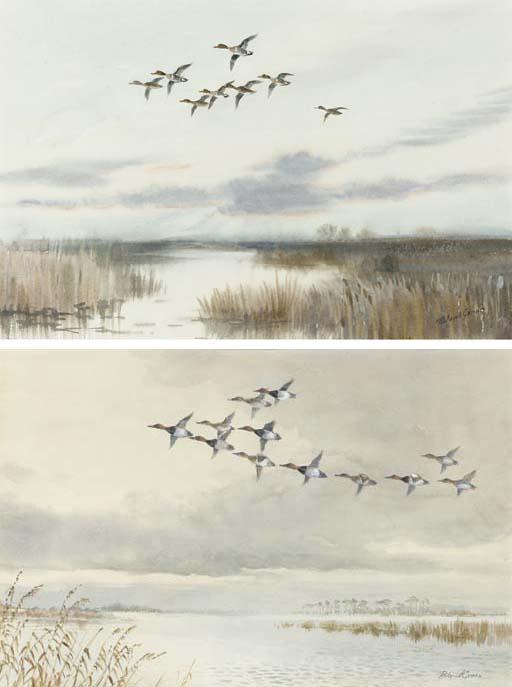 Roland Green - Canvasbacks; And Green-Winged Teal