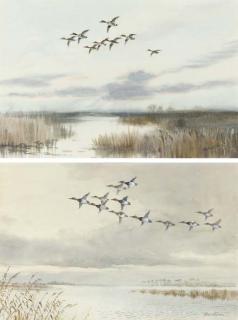 Roland Green - Canvasbacks; And Green-Winged Teal
