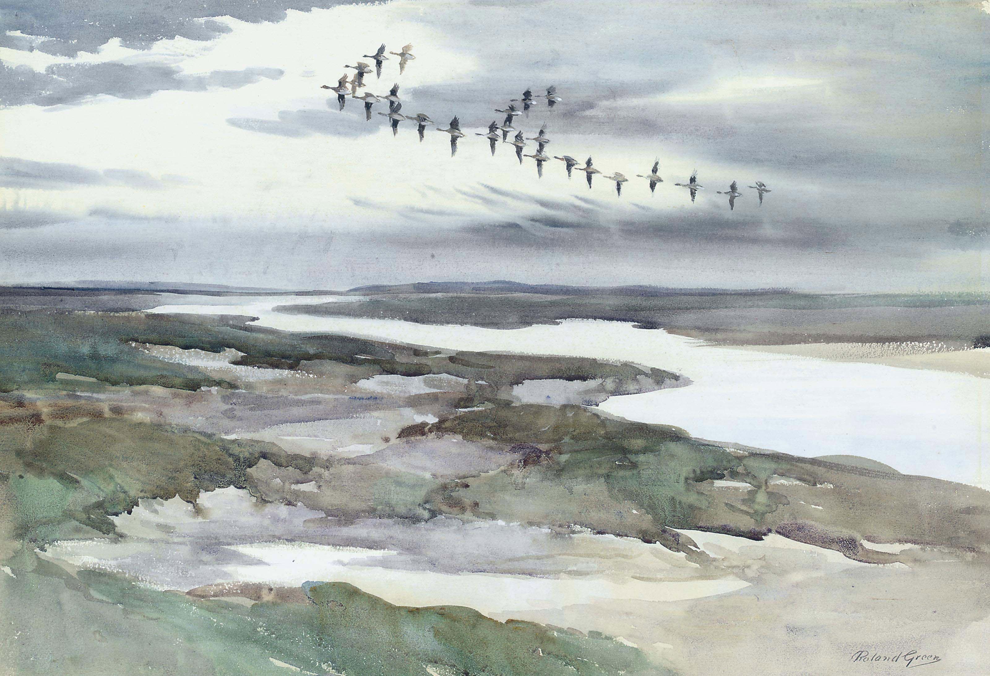 Roland Green - Geese in flight