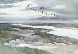 Roland Green - Geese in flight