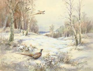 Roland Green - Pheasants in the snow