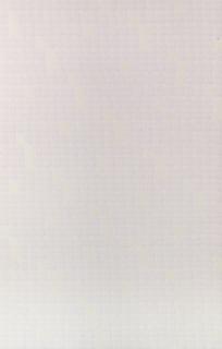 Rolf-Gunter Dienst - Ohne Titel (Weisses Bild)