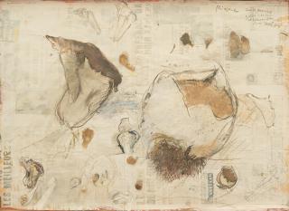 Rolf Iseli - „Fliegendes Bovistfestival“