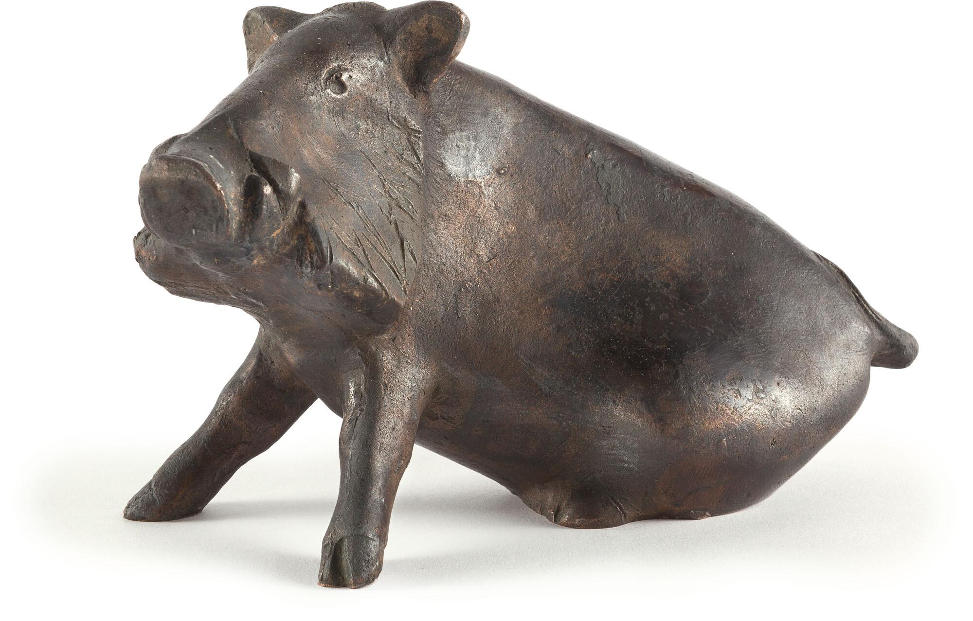 Rolf Nida-Rümelin - Radschlagender Pfau.