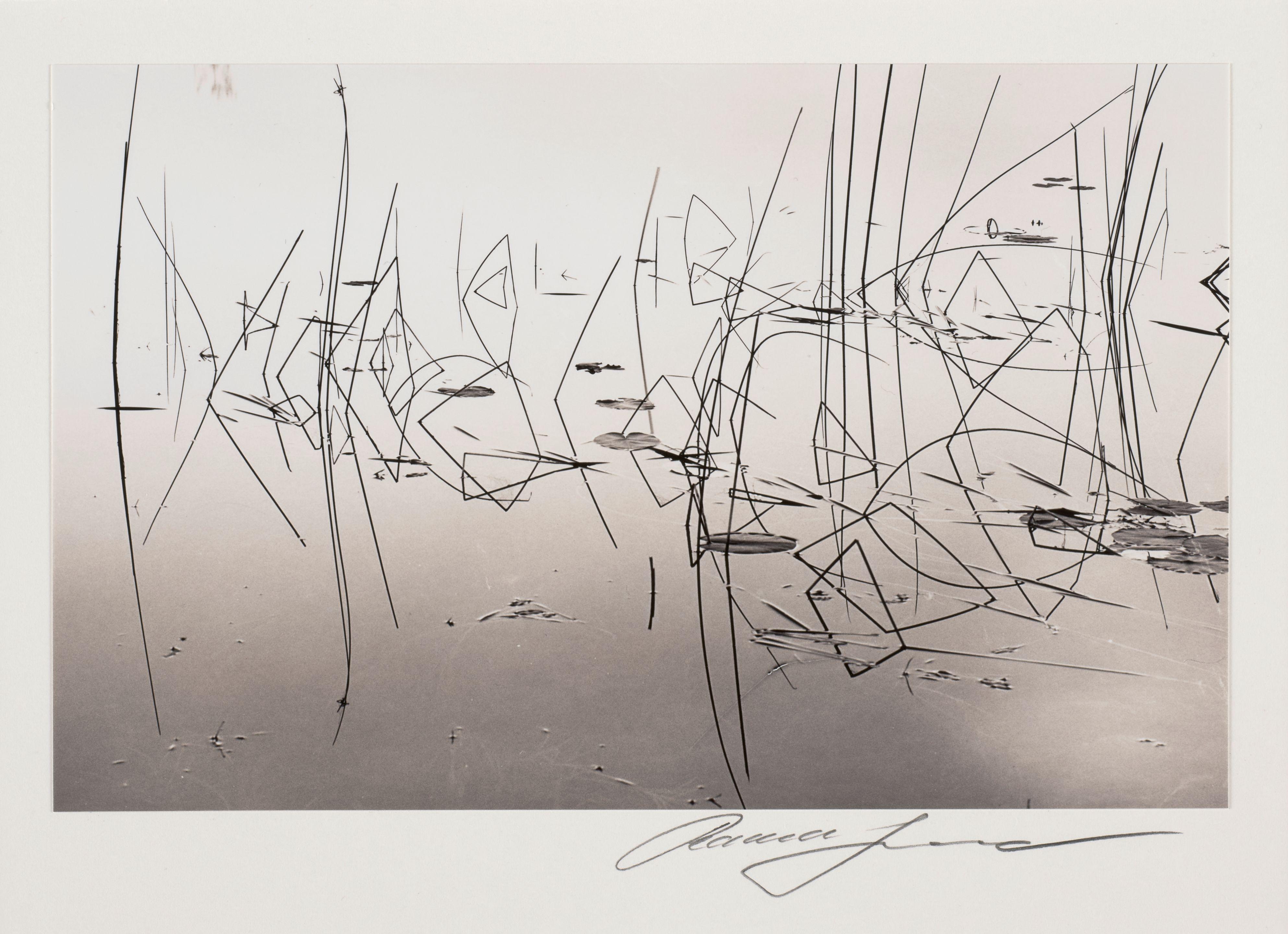 Roman Loranc - Milo\'s Fish