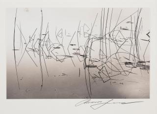 Roman Loranc - Milo\'s Fish