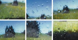 Roman Signer - Fass Mit Kamera (Hirschberg, Kanton Appenzell), 1999