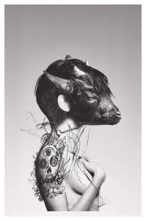 Ronald Ventura - Black Sheep