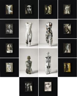 Ronald Ventura - Human Series Installation