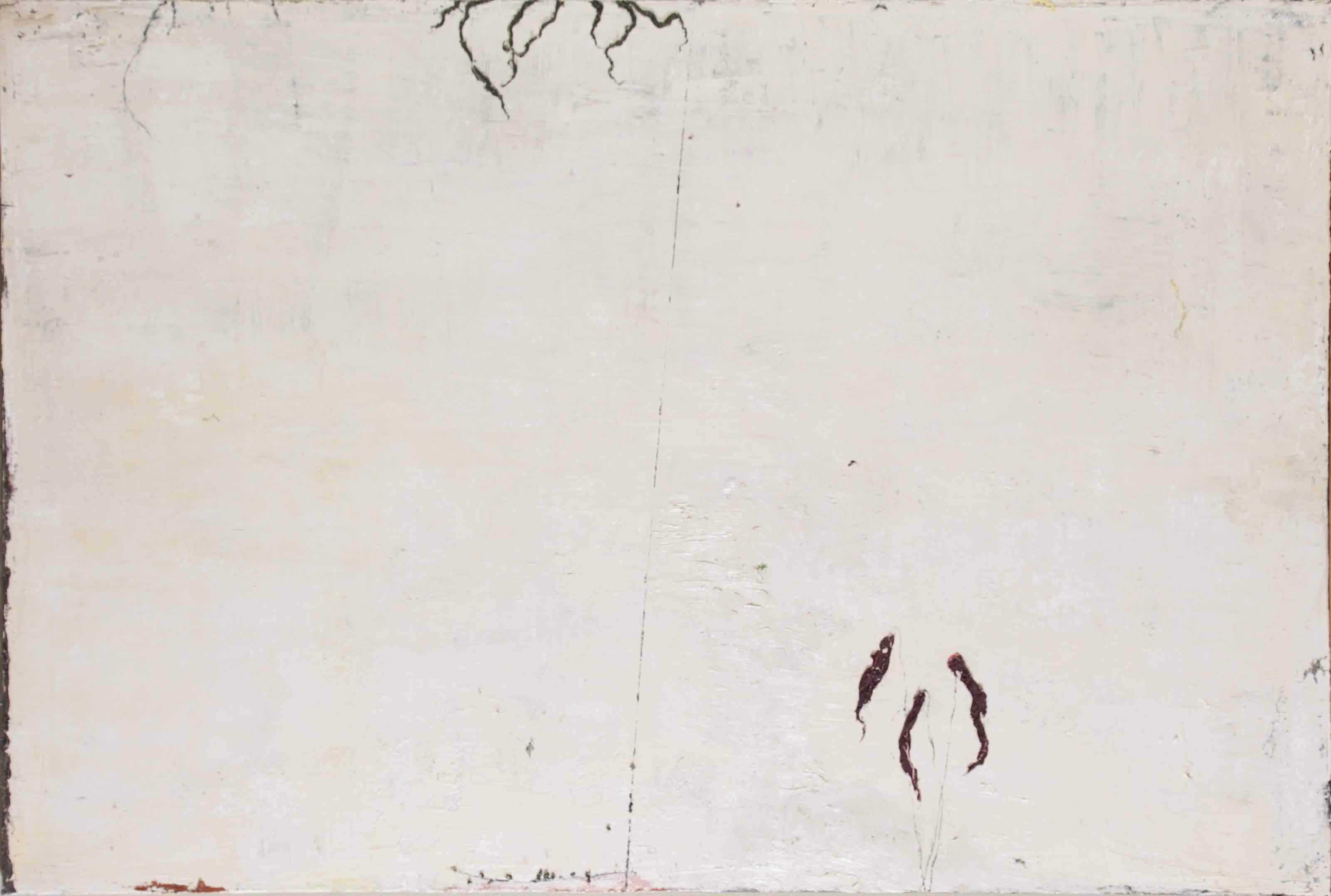 Ronald Zuurmond - As it is