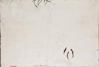 Ronald Zuurmond - As it is