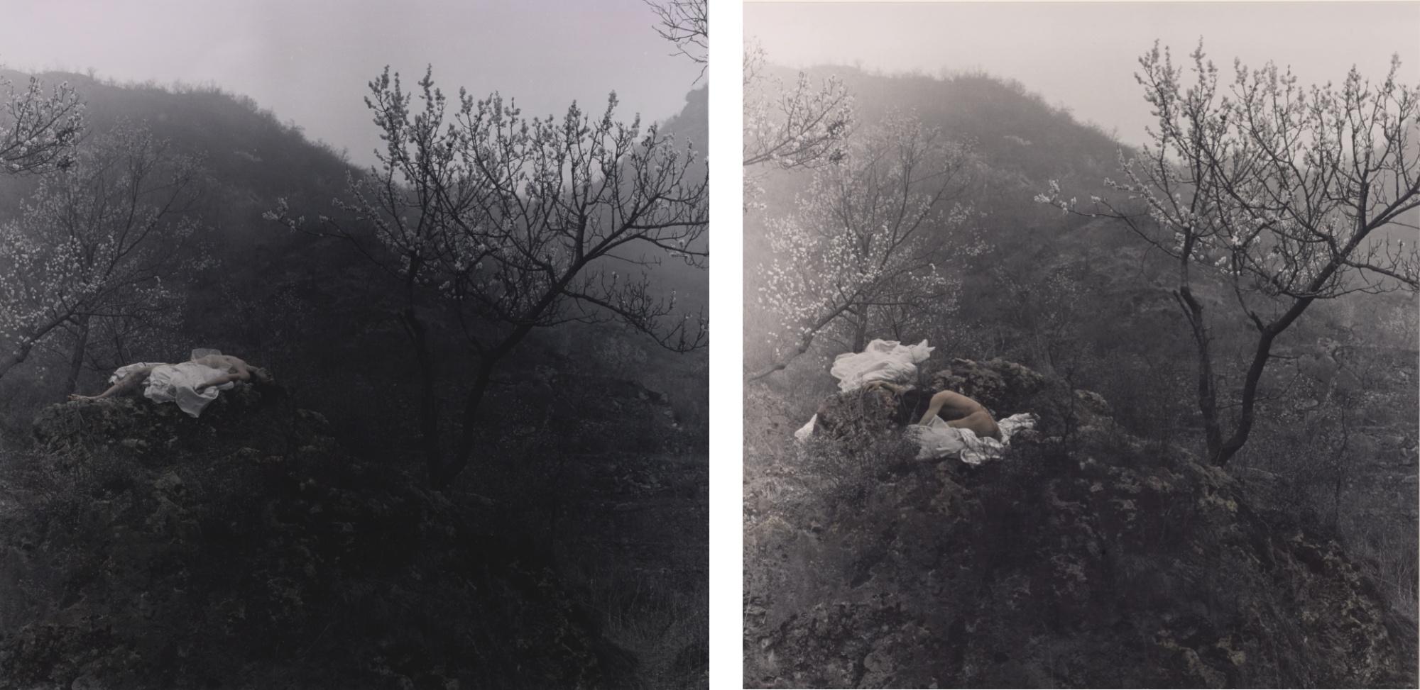 Rong Rong - 1999 No. 8 (1) & (2) Beijing (Two Works)