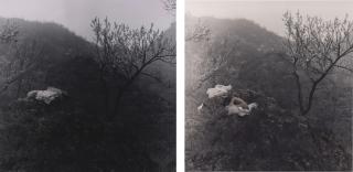 Rong Rong - 1999 No. 8 (1) & (2) Beijing (Two Works)