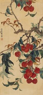 Rong Shushi - Lychee