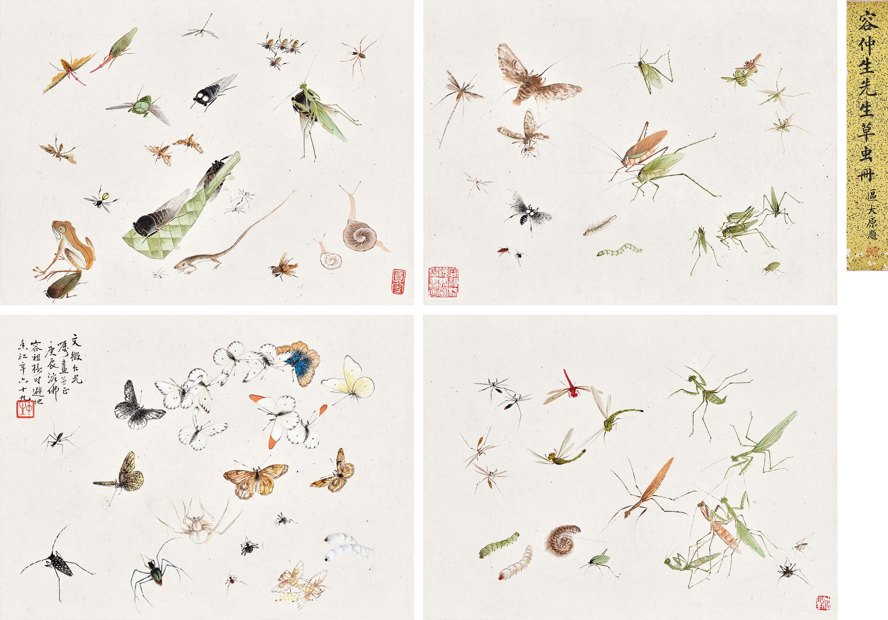 Rong Zuchun - Album Of Insects