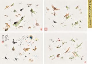 Rong Zuchun - Album Of Insects