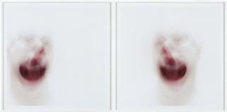 Roni Horn - Clown Mirror #7 (Diptyque)Diptych;