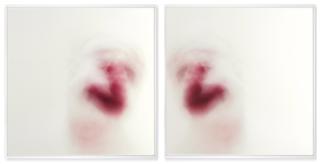 Roni Horn - Clownmirror (5)