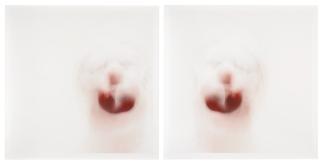 Roni Horn - Clownmirror (9)