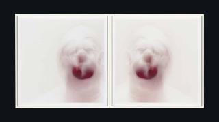 Roni Horn - Clownmirror (9)