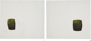 Roni Horn - Double 2.14.