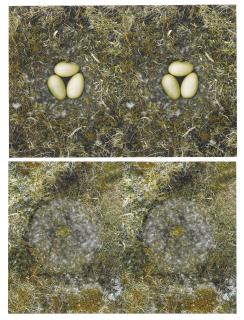 Roni Horn - (i) Untitled  (To Nest) #2(ii) Untitled  (To Nest) #5