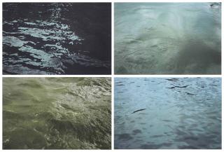 Roni Horn - Some Thames – Group M, 1999–2000