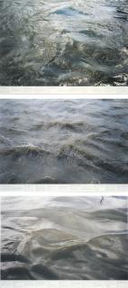 Roni Horn - Still Water (the River Thames, for Example) - Images C, O & J (in three parts)