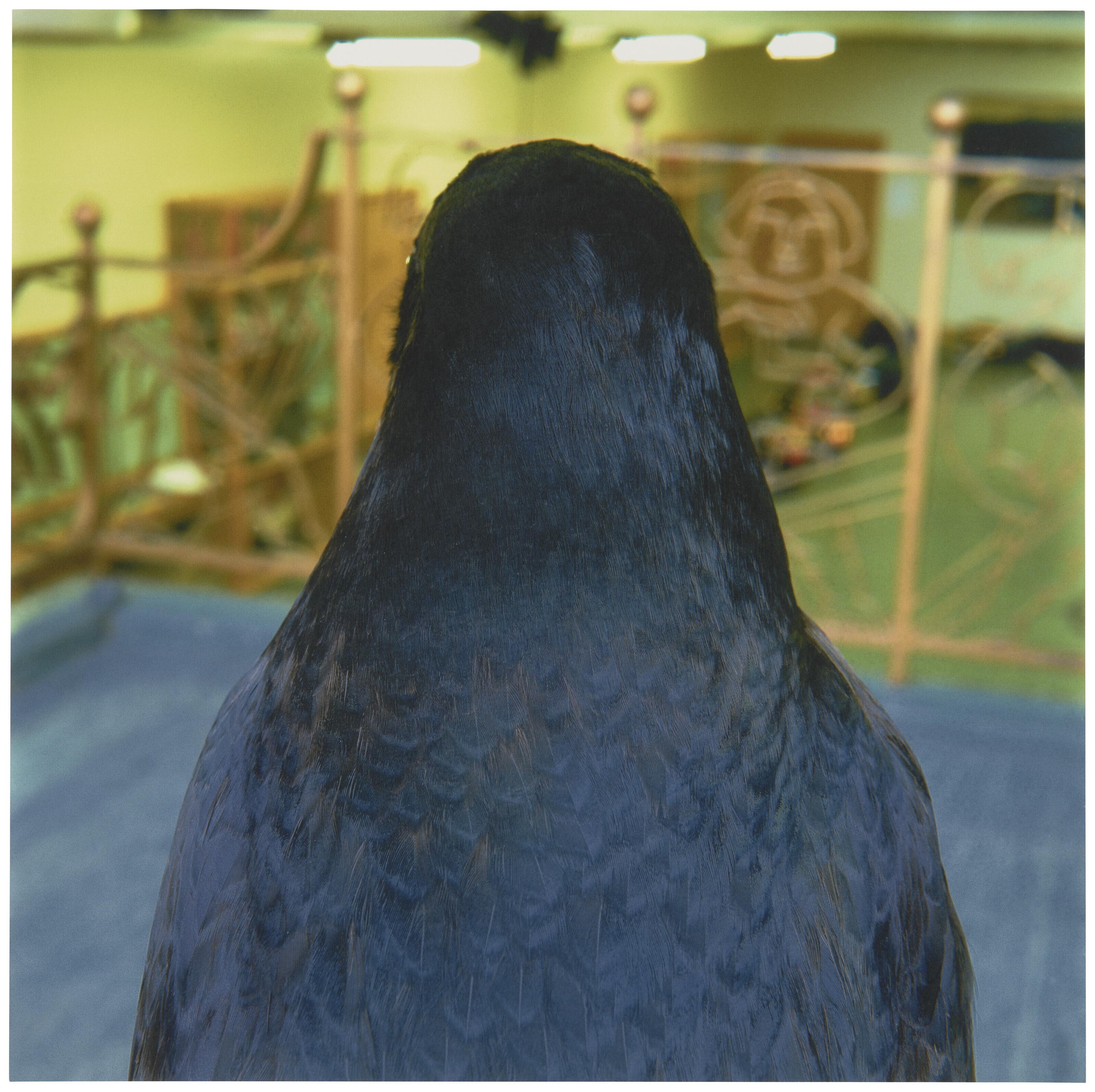 Roni Horn - Untitled #9