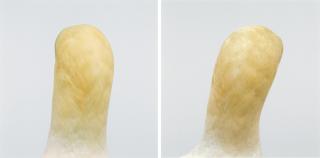 Roni Horn - Untitled, No. 3