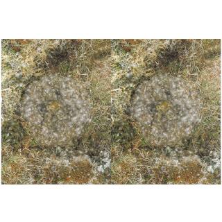 Roni Horn - Untitled To Nest (2)