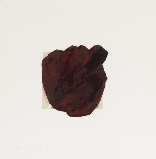 Roni Horn - Untitled