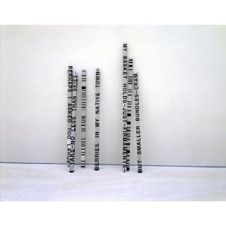 Roni Horn - When Dickinson Shut Her Eyes - For Felix; No. 352 