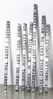 Roni Horn - When Dickinson Shut Her Eyes - For Felix, No. 352