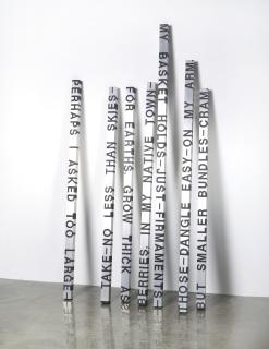 Roni Horn - When Dickinson Shut Her Eyes: No. 352