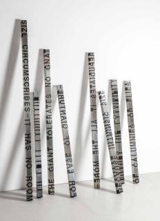 Roni Horn - When Dickinson Shut her Eyes: no. 641 – Size Circumscribes - It Has no Room