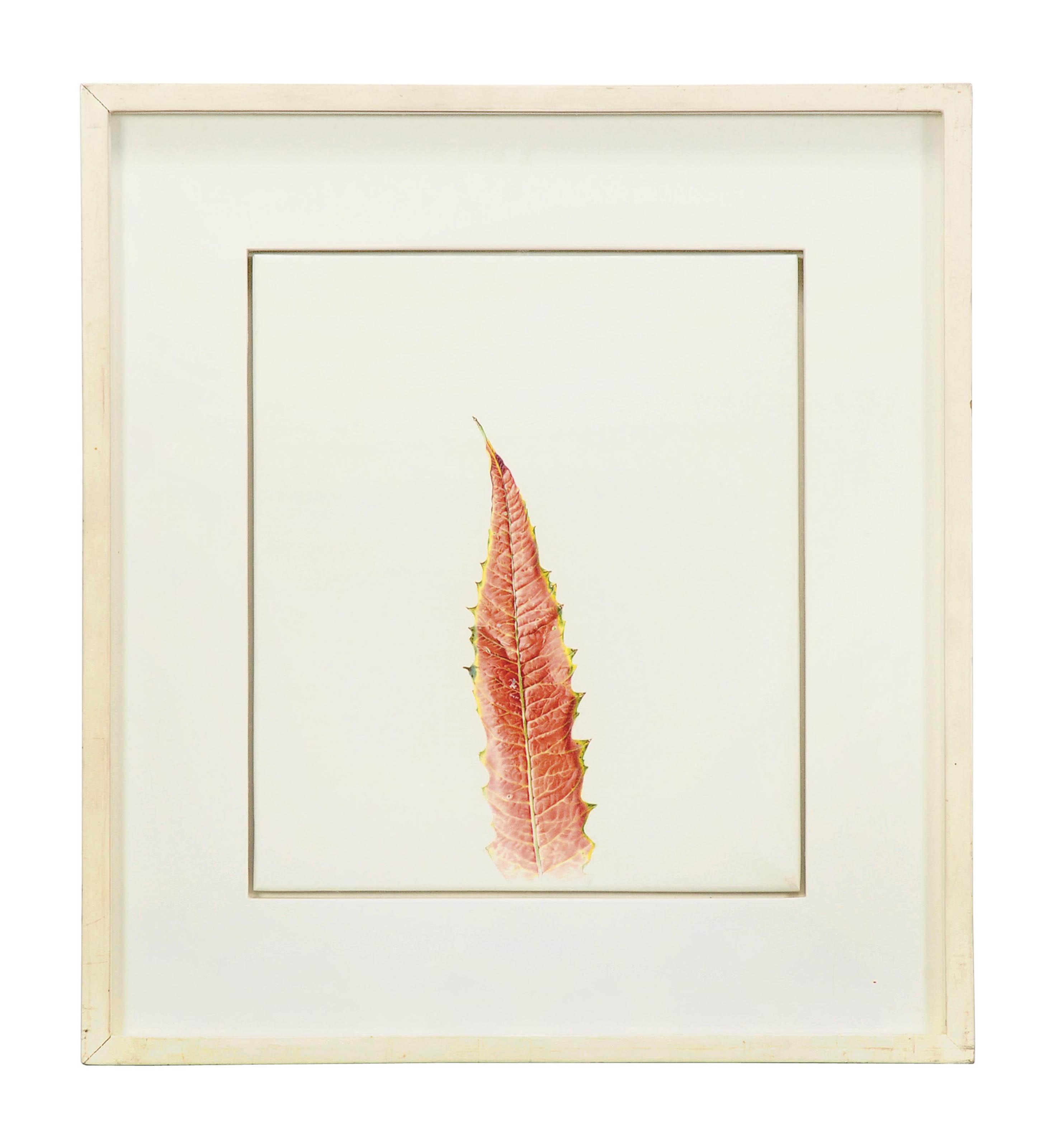 Rory McEwen - Fulham Road, II