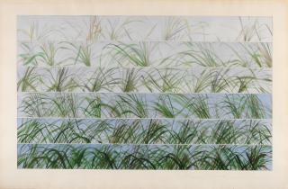 Rory McEwen - Grass Studies