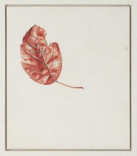 Rory McEwen - Redcliffe Square, London (1979)