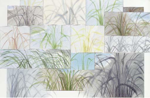 Rory Mcewen - Terai Grass, No. 6