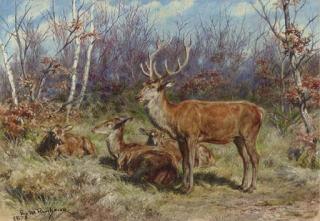 Rosa Bonheur - A Buck and Doe in the Forest