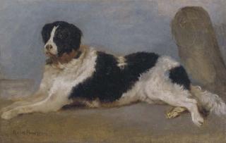 Rosa Bonheur - A Newfoundland